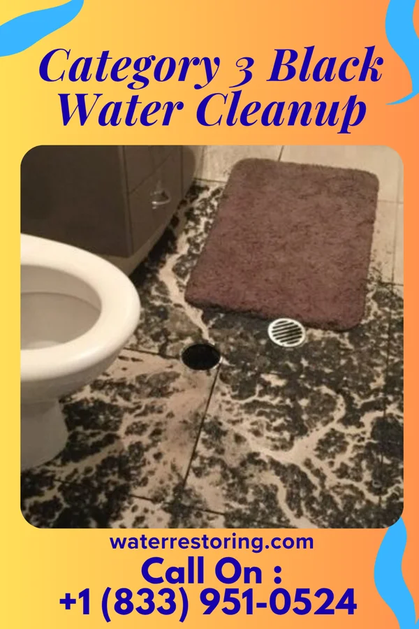 Category 3 Black Water Cleanup in Little River, KS