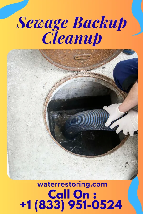 Sewage Backup Cleanup in Little River, KS